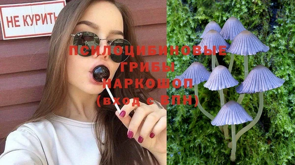 метадон Гусь-Хрустальный